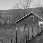 At the Edge of a Field