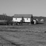 Farm Compound