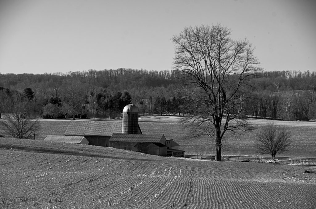 Fertile Overlook