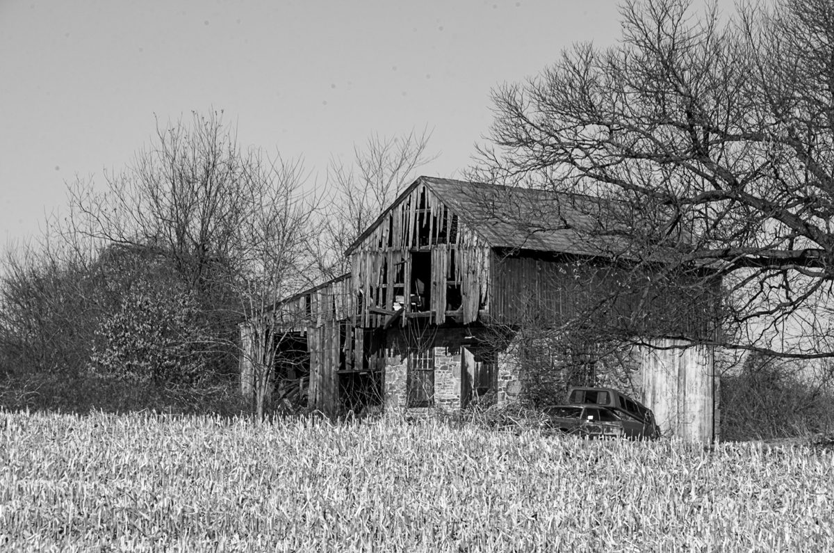 No. 7. Farm Country in Black and White