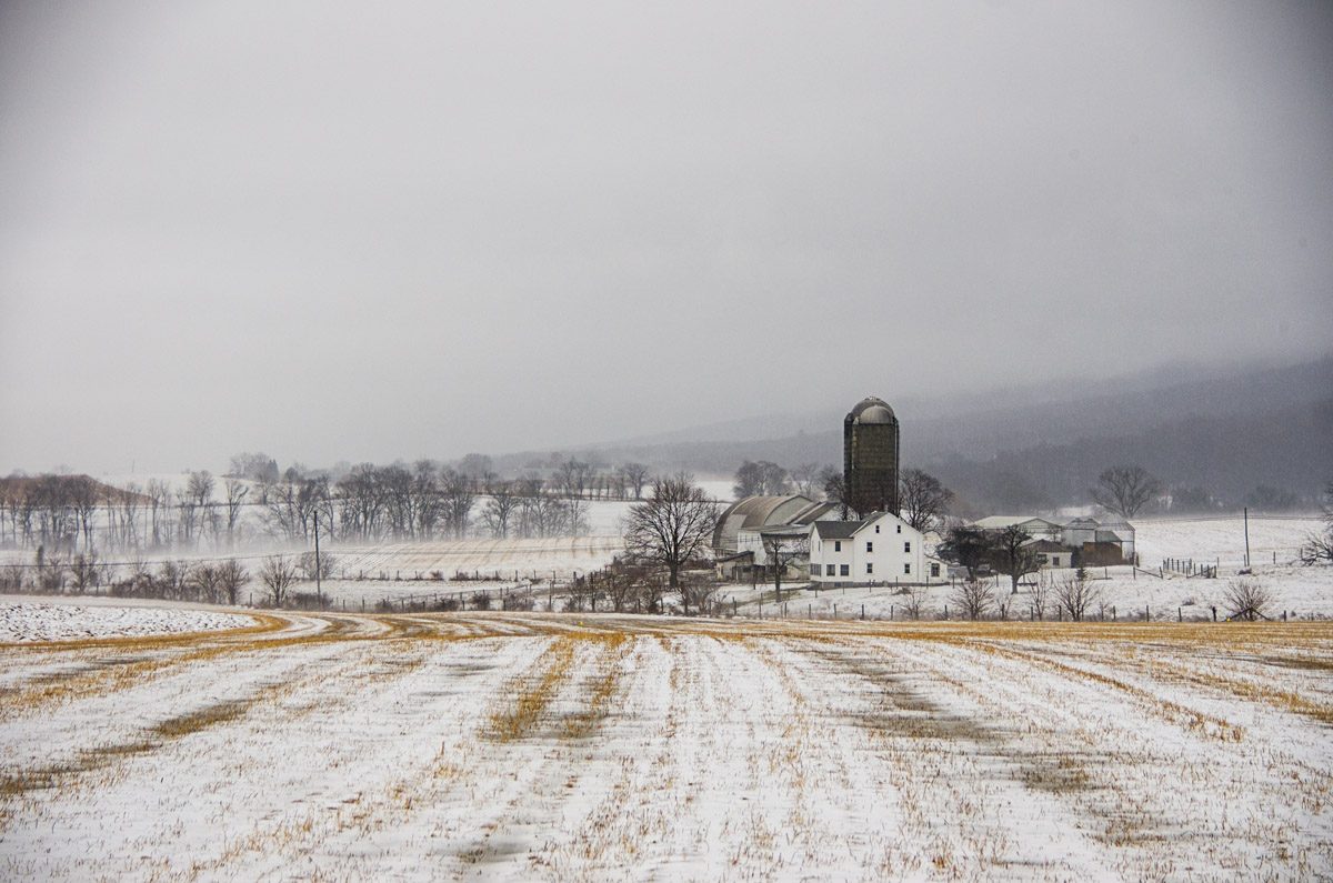 A Foggy Day in the Country