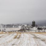 A Foggy Day in the Country