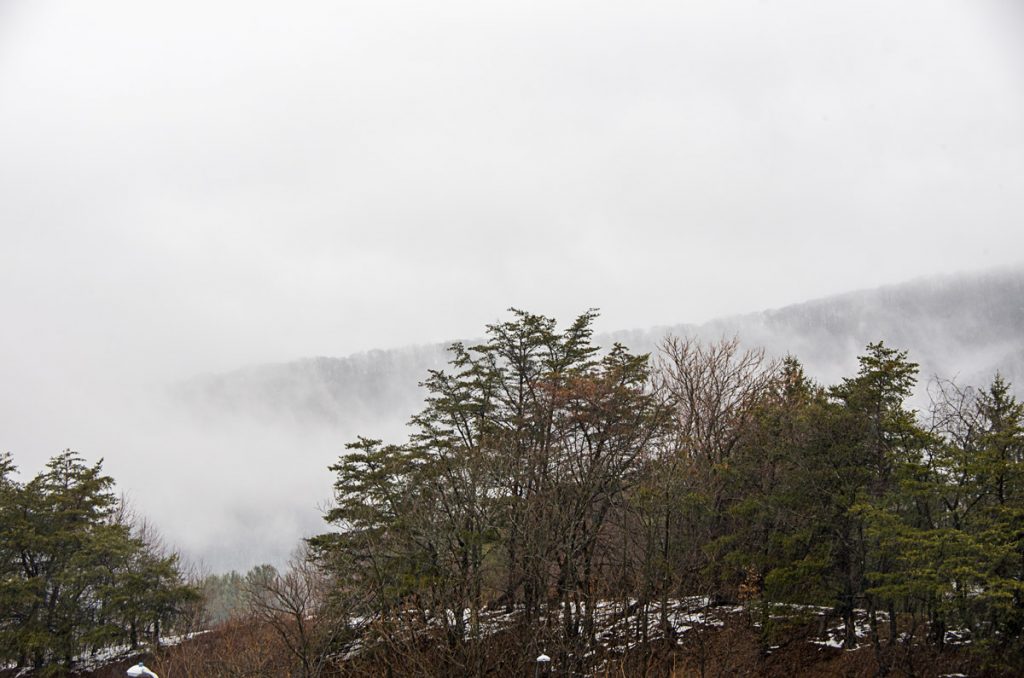 Fog on the Mountain