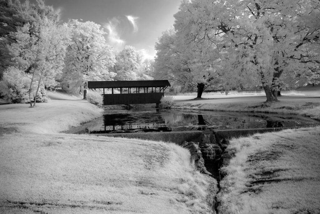 Walking Bridge over a Stream