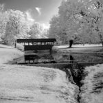 Walking Bridge over a Stream