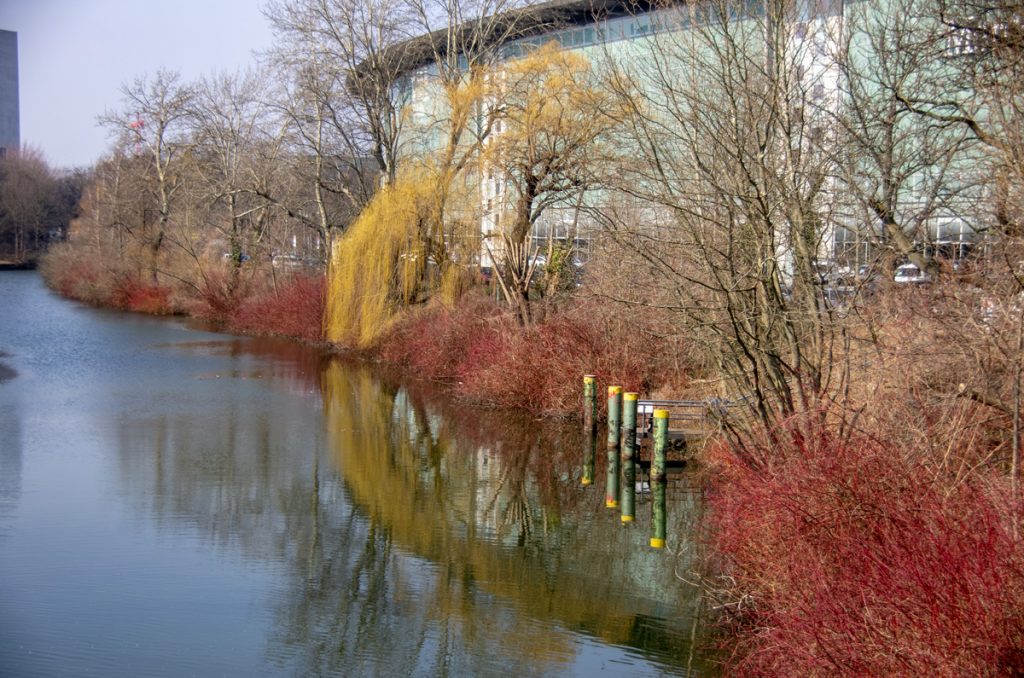 Red and Amber Reflections