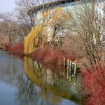 Red and Amber Reflections