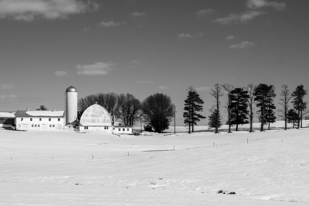 Winter Compound II