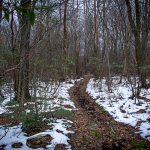 Snow on the Appalachian Trail