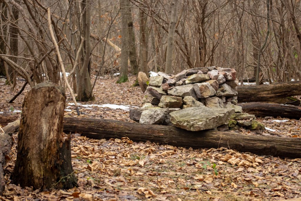 Through Hikers Fire Pit