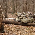 Through Hikers Fire Pit