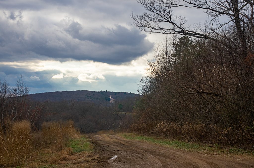 One Way Mountain Road