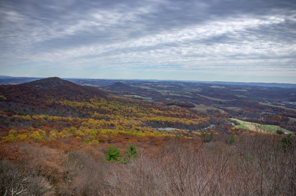 Pulpit Rock View