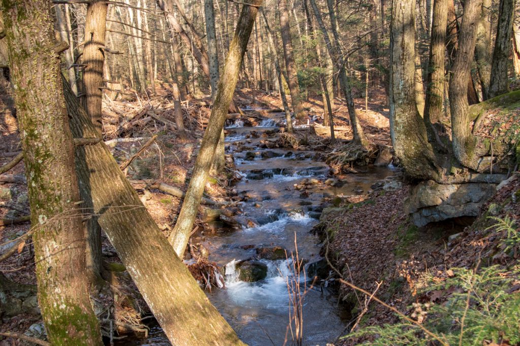 Northkill Creek