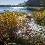 Hamburg Reservoir