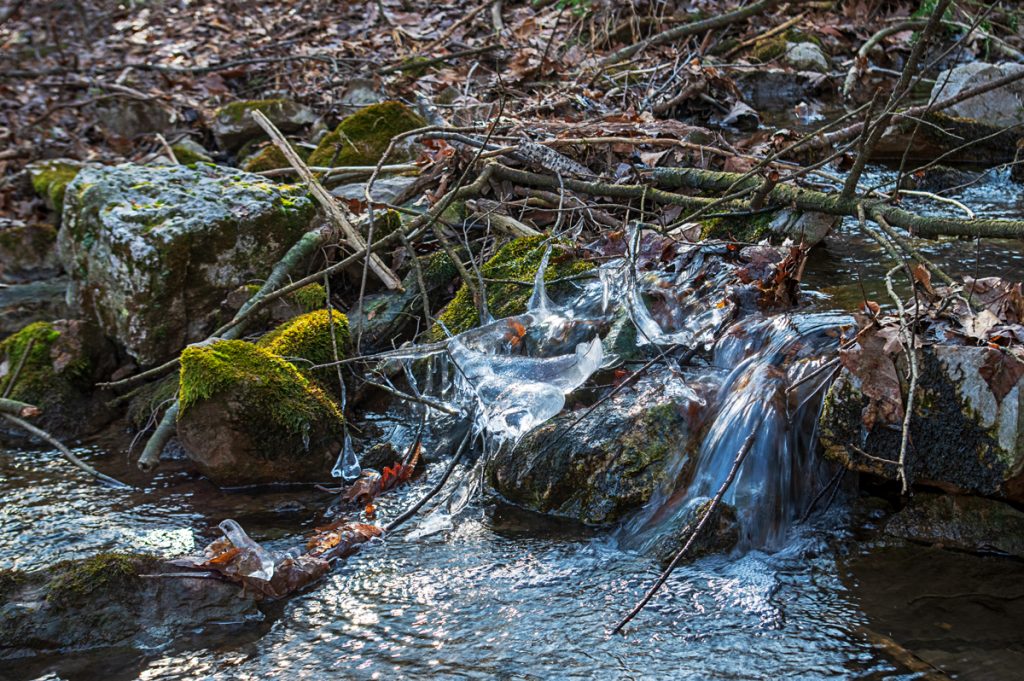 Moss and Ice