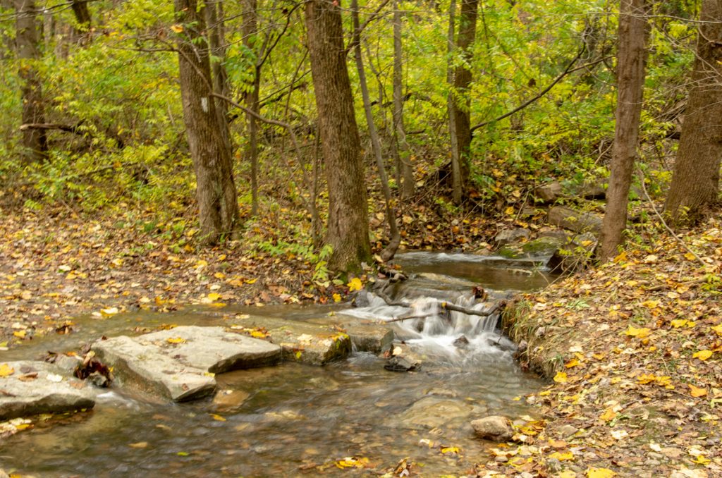 Water Over the Rocks