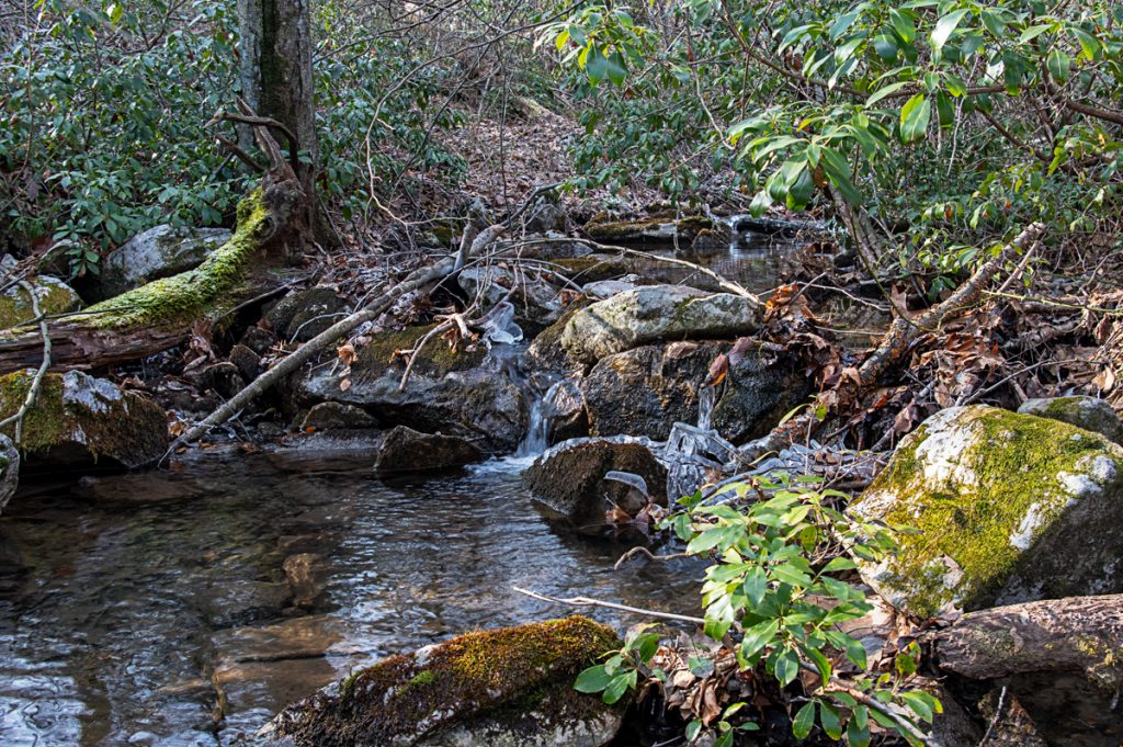 Mountain Pool