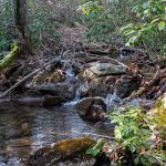 Mountain Pool