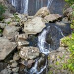 El Yunque Rainforest 10