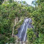 El Yunque Rainforest 12