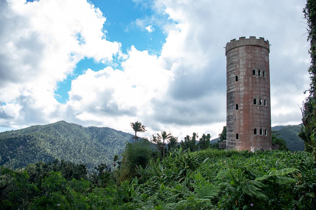 El Yunque Rainforest 13