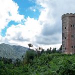 El Yunque Rainforest 13