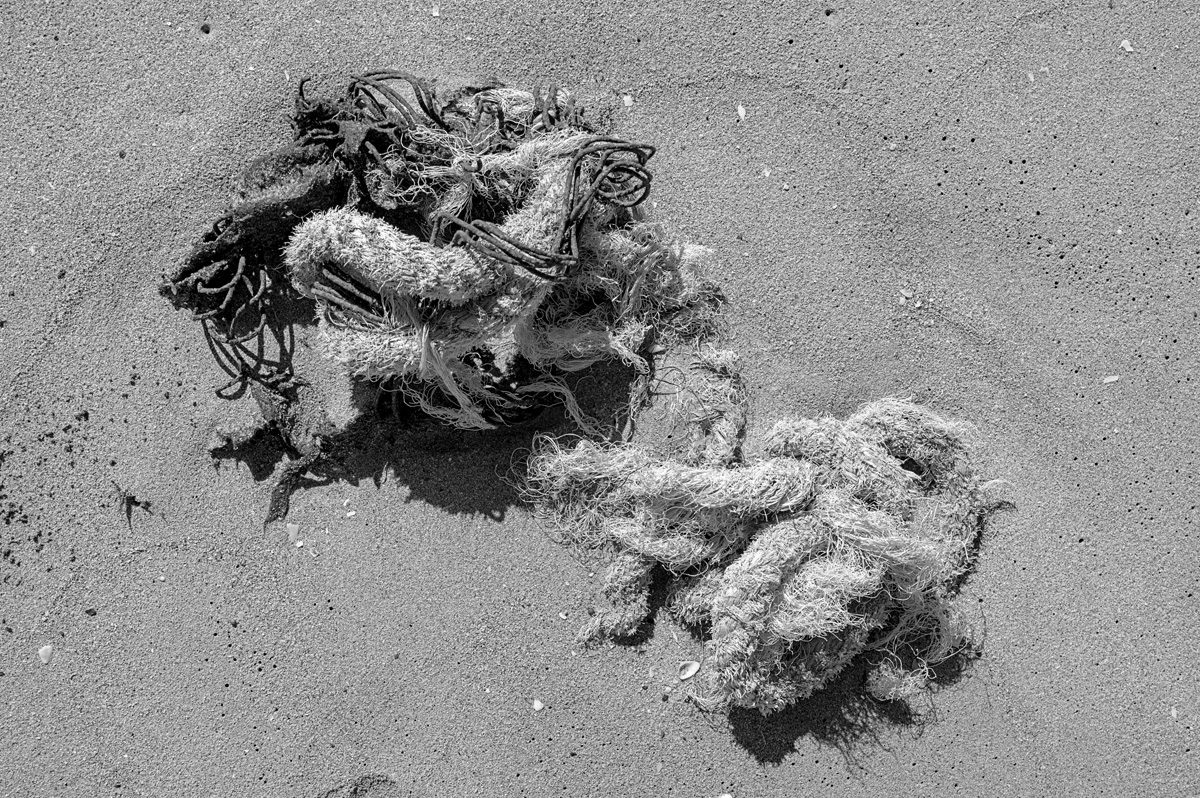 No. 6. Sun, Sand, and Shadow Studies, Luquillo Beach