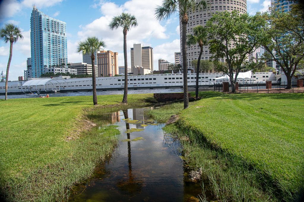 Riverside Reflections